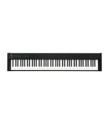 Korg D1 Digital Piano (88-Key)